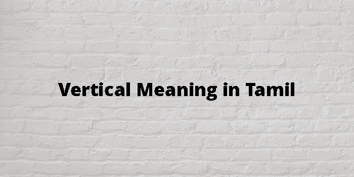 vertical-meaning-in-tamil