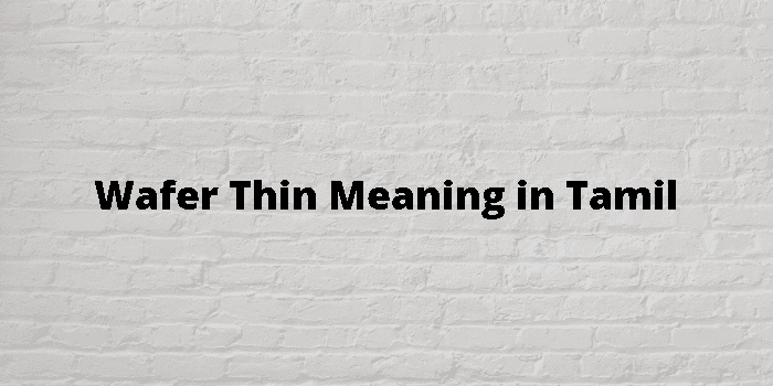 Thin Meaning In Tamil