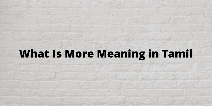 what-is-more-meaning-in-tamil