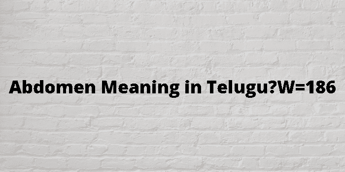  Abdomen Meaning In Telugu 