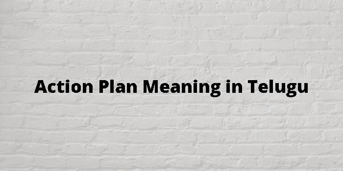 action-plan-meaning-in-telugu