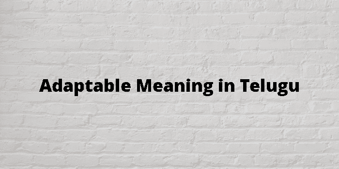 adaptable-meaning-in-telugu