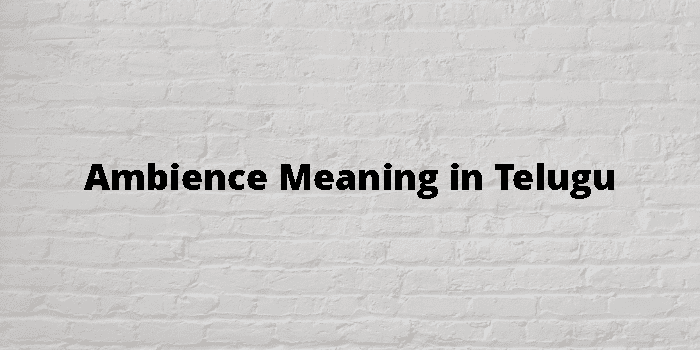 Ambience Meaning In Telugu - తెలుగు అర్థం