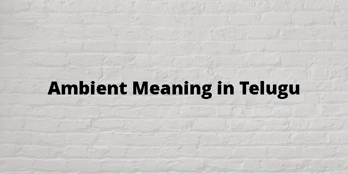 ambient-meaning-in-telugu