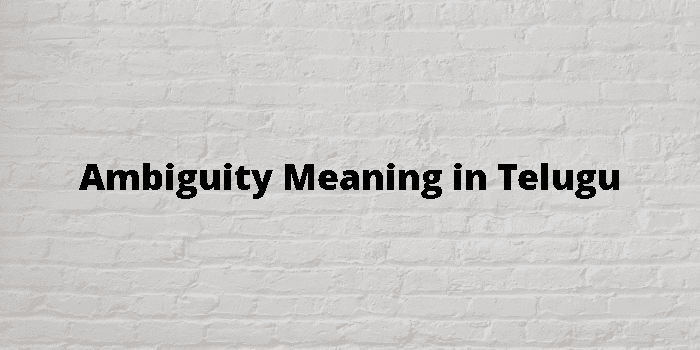 ambiguity-meaning-in-telugu