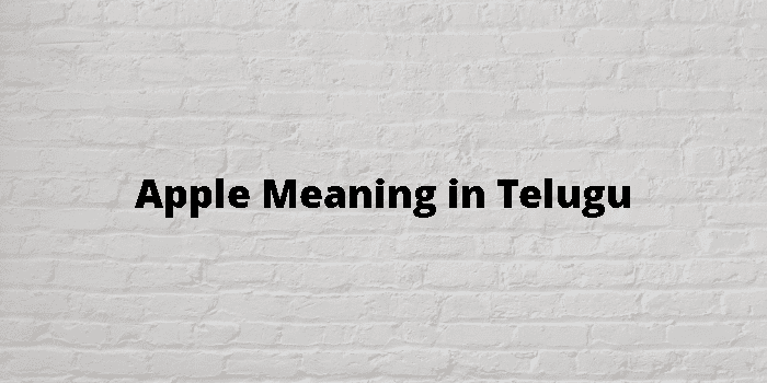 apple-meaning-in-telugu