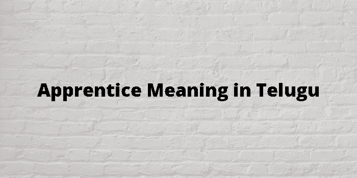 Apprentice Meaning In Telugu