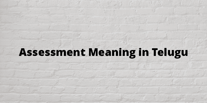 assessment-meaning-in-telugu