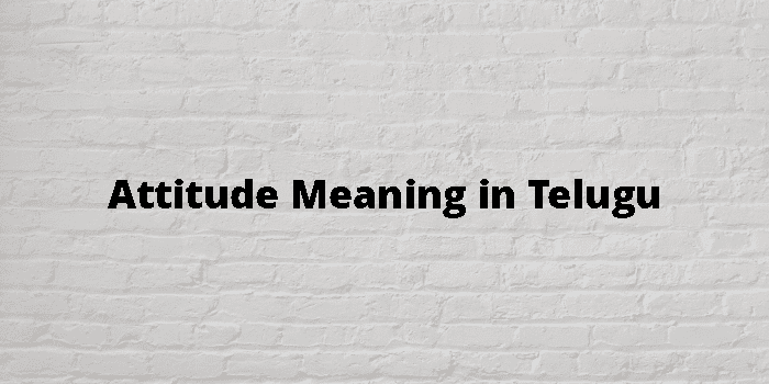 attitude-meaning-in-telugu