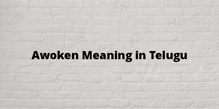 Awoken Meaning In Telugu - తెలుగు అర్థం