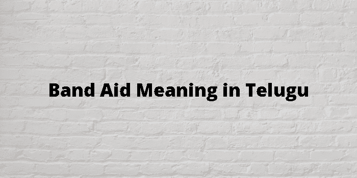 Aid Meaning In Telugu