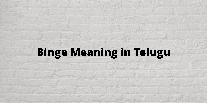 binge-meaning-in-telugu