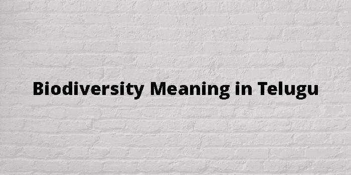 biodiversity-meaning-in-telugu