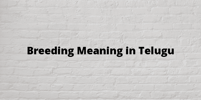 breeding-meaning-in-telugu