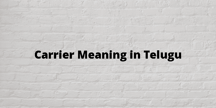 Carrier Meaning In Telugu 