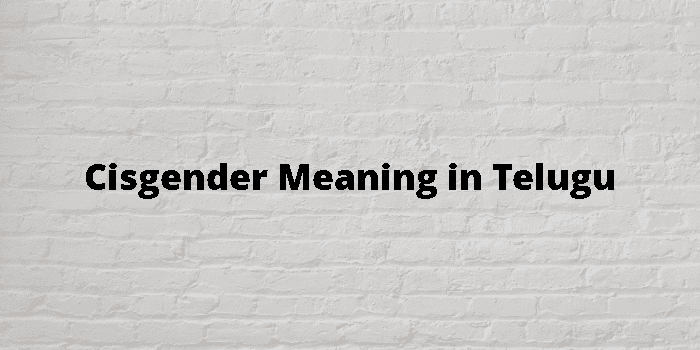 cisgender-meaning-in-telugu