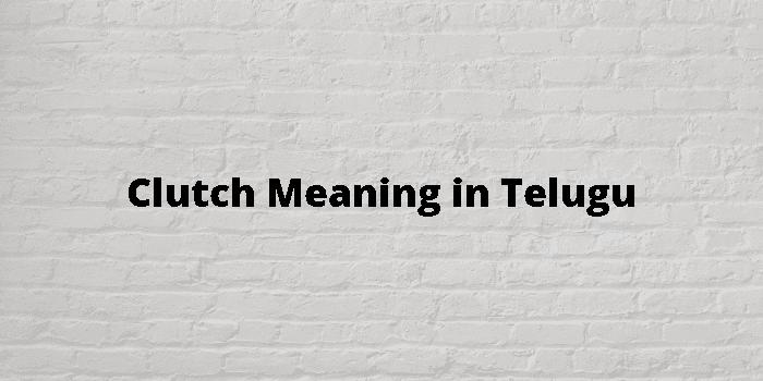 Clutch meaning in telugu with examples  Clutch తెలుగు లో అర్థం @Meaning in  Telugu 