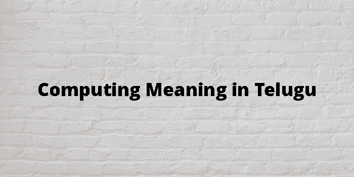 computing-meaning-in-telugu