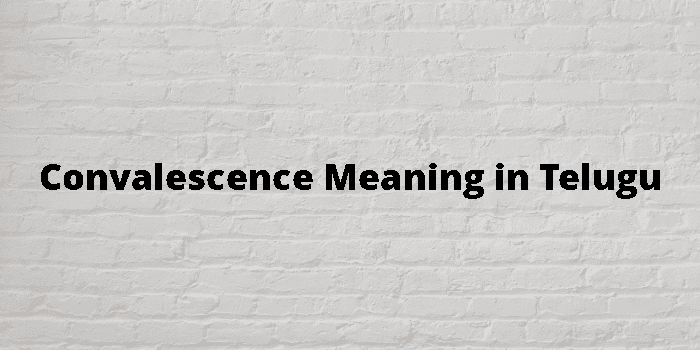 Convalescence Meaning In Telugu - తెలుగు అర్థం
