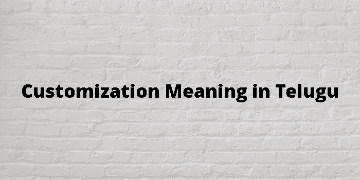 customization-meaning-in-telugu