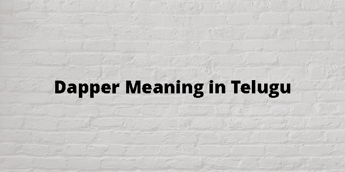 Dapper Meaning In Telugu - తెలుగు అర్థం