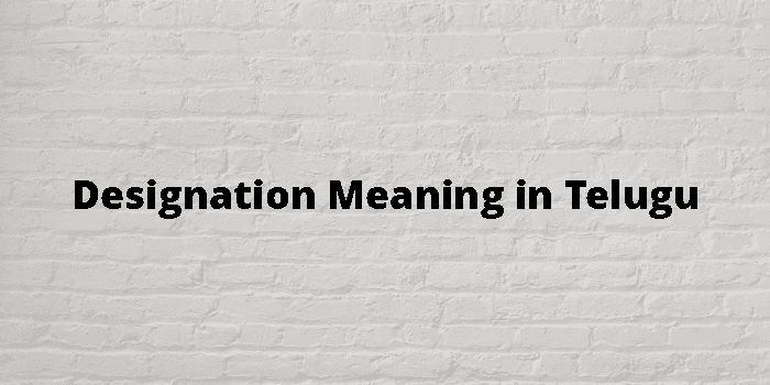 designation-meaning-in-telugu