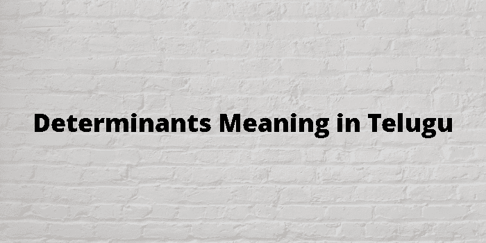 determinants-meaning-in-telugu