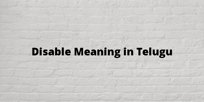 disable-meaning-in-telugu