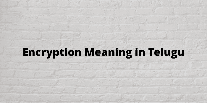 encryption-meaning-in-telugu