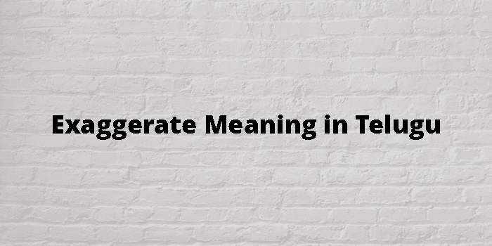 Exaggerate Meaning In Telugu - తెలుగు అర్థం