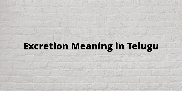 Excretion Meaning In Telugu - తెలుగు అర్థం