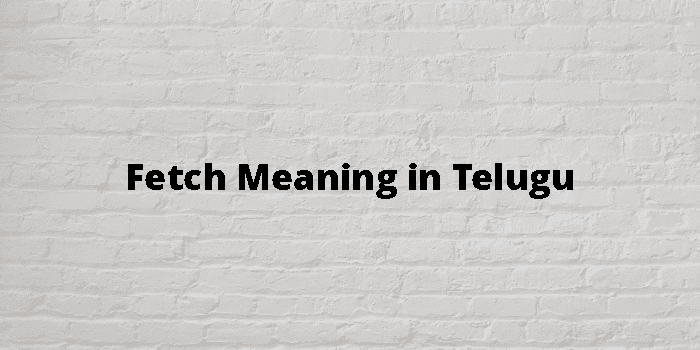 fetch-meaning-in-telugu