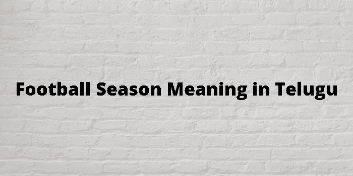 football-season-meaning-in-telugu