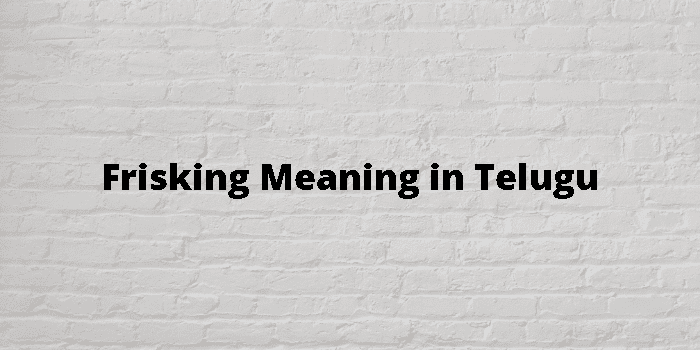 frisking-meaning-in-telugu