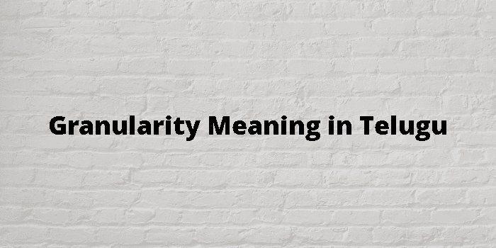 granularity-meaning-in-telugu