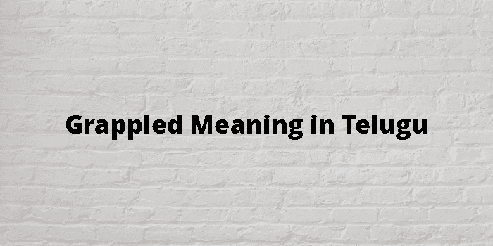 Grappled Meaning In Telugu - తెలుగు అర్థం