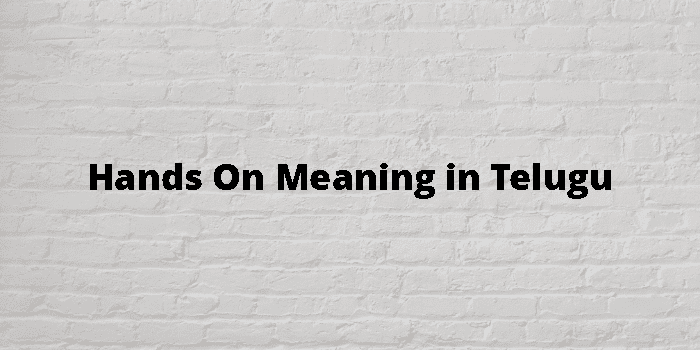 Hands on meaning in telugu 