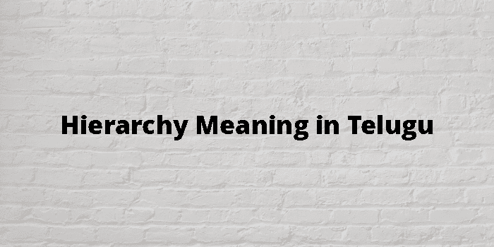 Hierarchy Meaning In Telugu - తెలుగు అర్థం