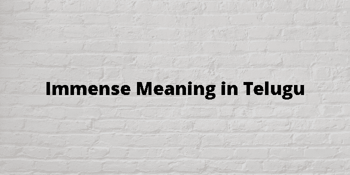 assume-meaning-in-telugu-with-examples-assume