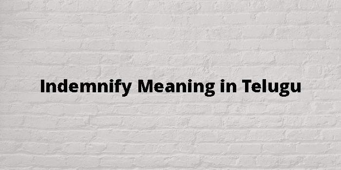 Indemnify Meaning In Telugu - తెలుగు అర్థం