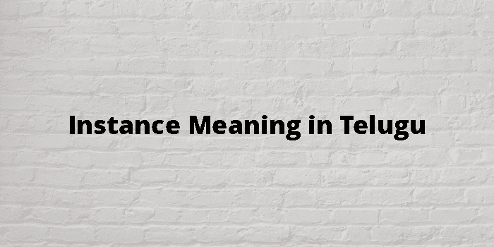 Instance Meaning In Telugu - తెలుగు అర్థం