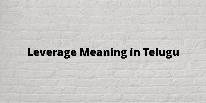 Leverage Meaning In Telugu - తెలుగు అర్థం