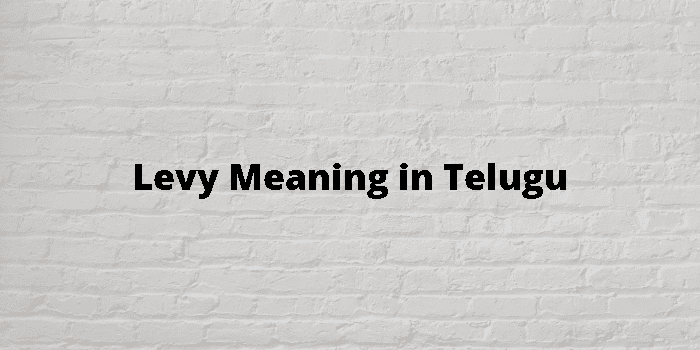 levy-meaning-in-telugu