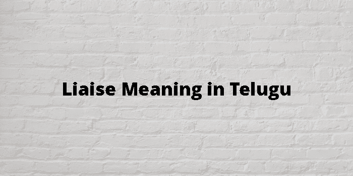 liaise-meaning-in-telugu