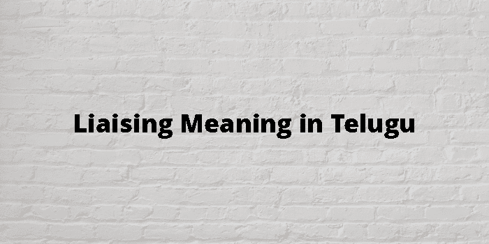 liaising-meaning-in-telugu