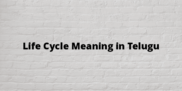 life-cycle-meaning-in-telugu