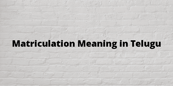 matriculation-meaning-in-telugu