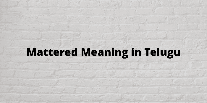 Mattered Meaning In Telugu - తెలుగు అర్థం