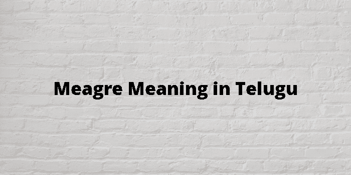 meagre-meaning-in-telugu