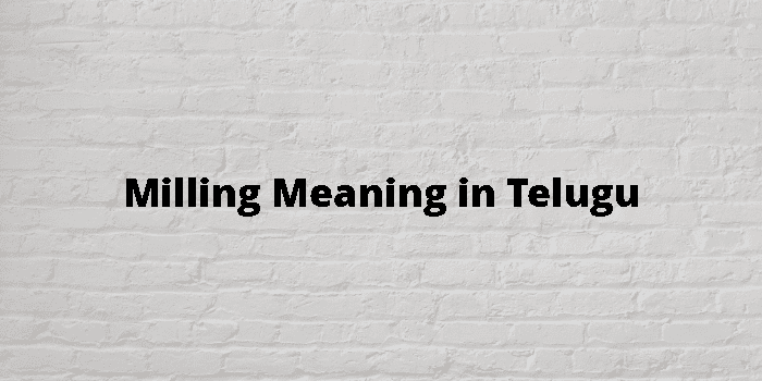 milling-meaning-in-telugu